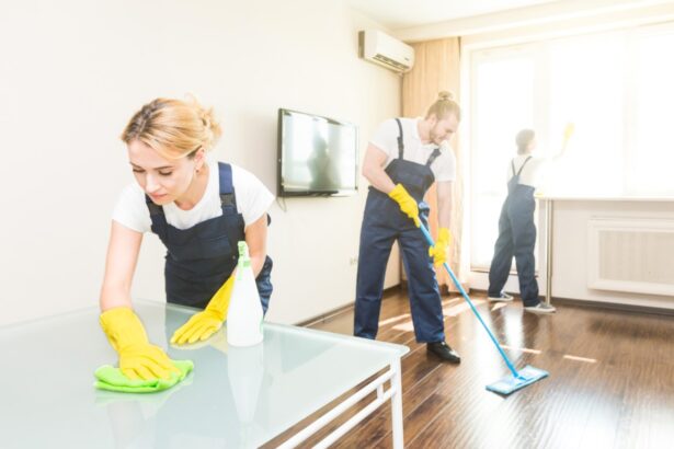 Why Choose Professional Carpet Cleaners for a Fresh and Inviting Home